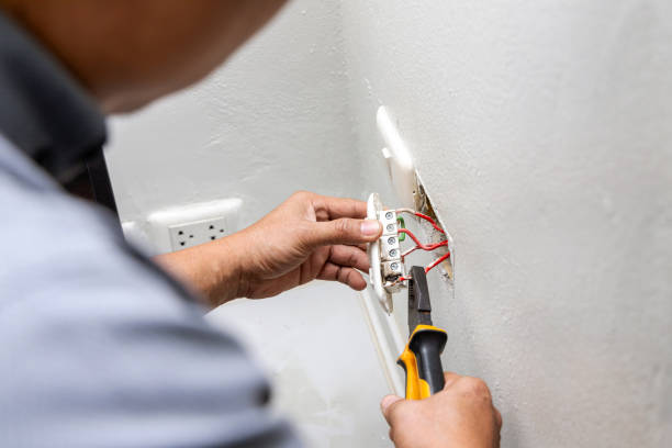 Best Electric Panel Repair  in Burgin, KY